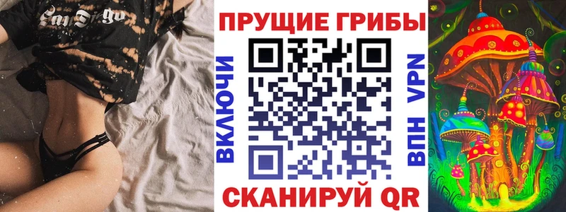 Псилоцибиновые грибы GOLDEN TEACHER  Купить где  Каменск-Уральский 